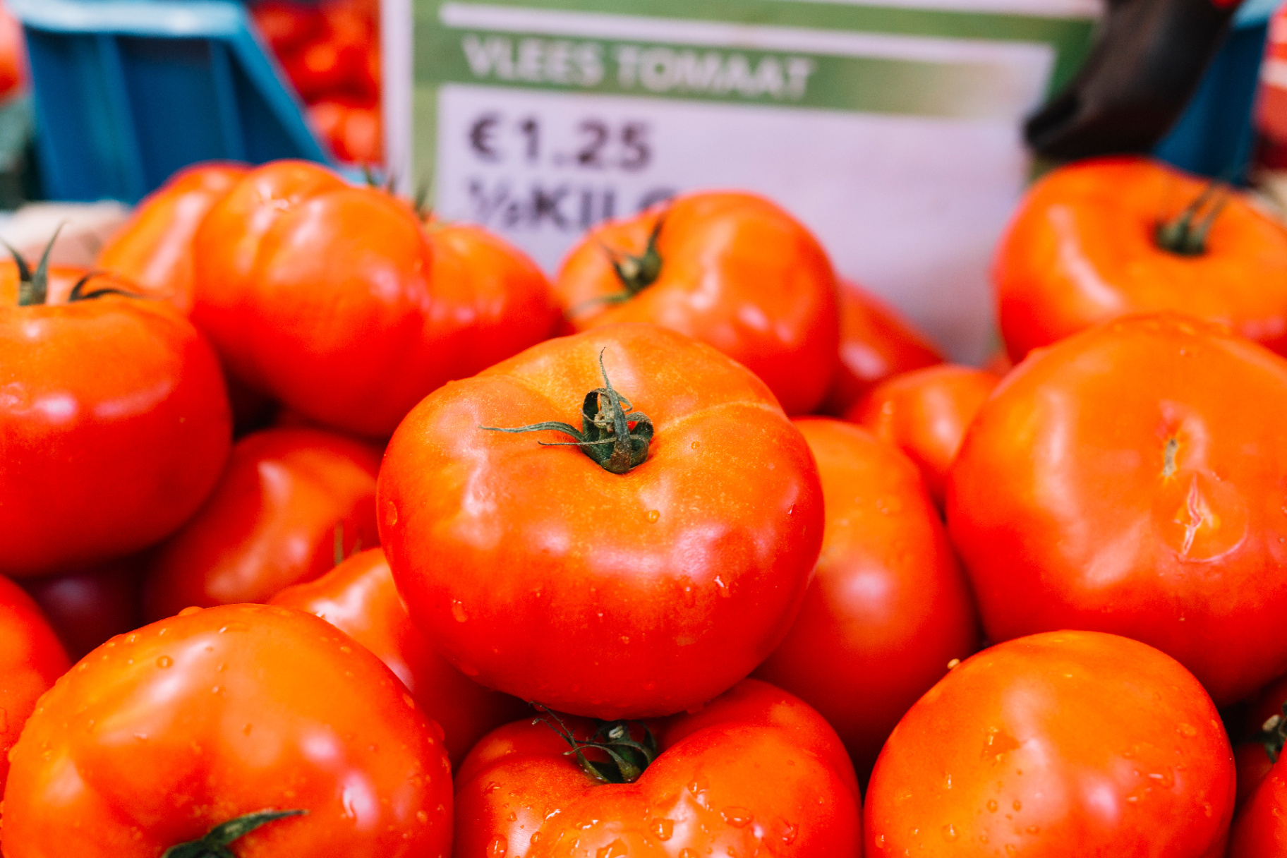 Fresh tomatoes from local agribusiness